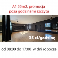 Sala A1 PROMOCJA; od 8:00 do17:00 w dni robocze
